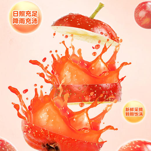 【特惠23.9】爷爷的农场益生元山楂果肉棒72g-(效期至26年4月17日）-专享价 商品图3