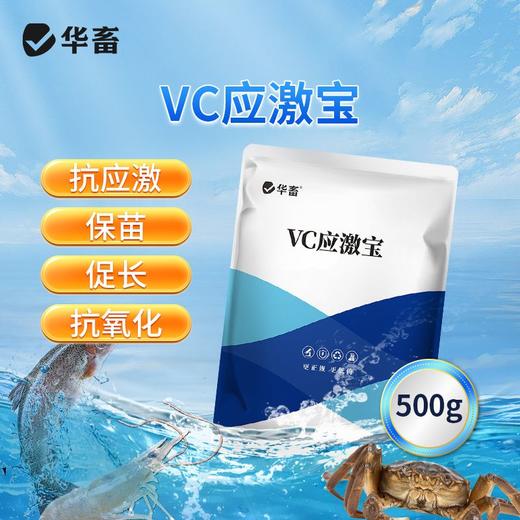 华畜vc应激灵鱼虾蟹抗应激水产养殖保苗助长维生素高稳多维应激宝 商品图0