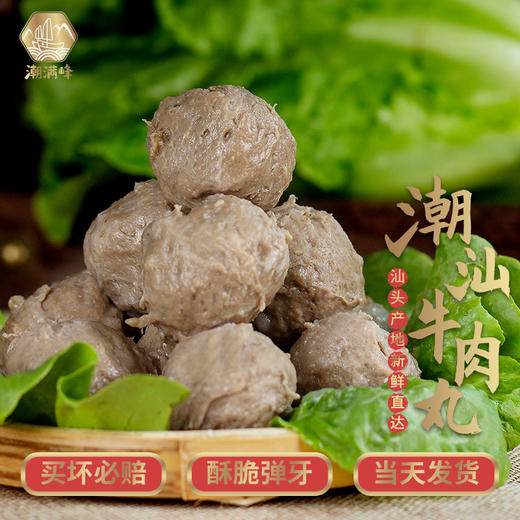 潮满峰·潮汕正宗手打牛肉丸潮州特产撒尿牛肉丸子火锅食材（2斤装，共4袋） 商品图1