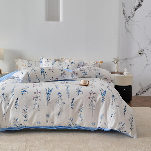 风吟漫漫DZ 商品图1