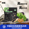 「下单赠羽衣甘蓝十黑粉7条*2袋」农科院研发品种 徐姬羽衣甘蓝粉 高膳食纤维/花青素 （绿色10条*2盒+紫色10条*2盒） 商品缩略图7