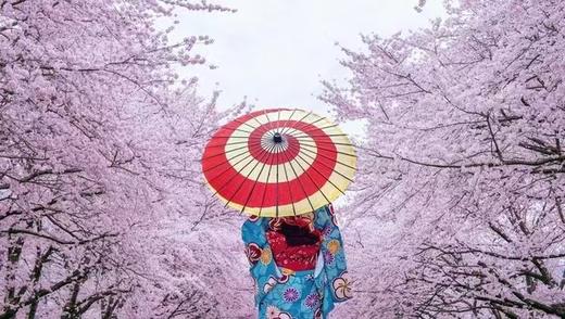 【北京领区】日本签证暑期特惠，一手送签，出签率高，出签快 商品图5