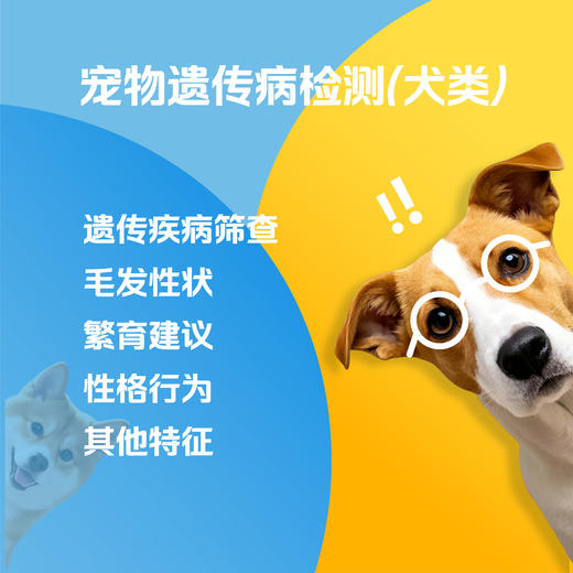 【解觅-华大宠物基因检测】猫犬品种鉴定血型遗传疾病性格饮食分析 商品图8