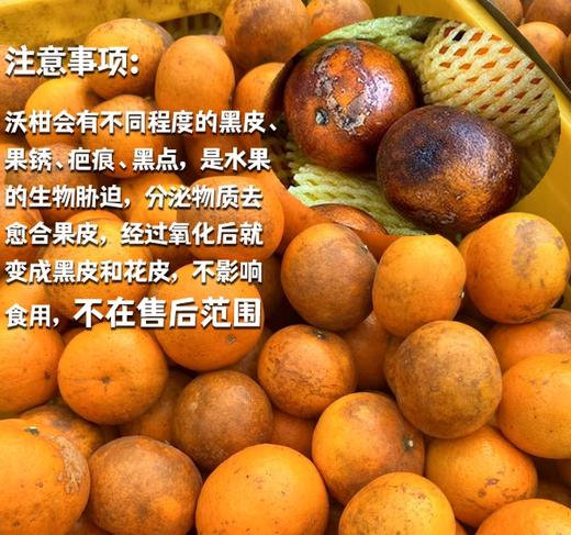 沃柑 2.5kg【基地直发】产地：广西（部分沃柑表面有花皮和锈斑，不影响食用） 商品图1