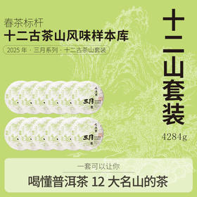 【三月系列】元昌号2025年三月十二茶山/古六山/新六山/微小产区套装357克生饼