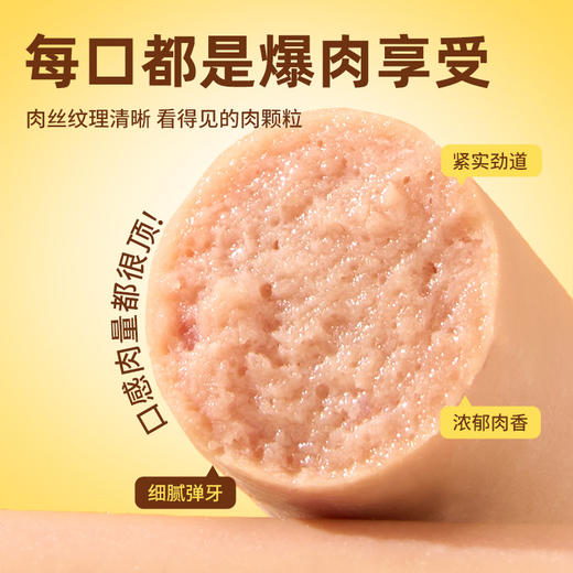 冒险与它宠物主食 火腿肠15g*10支 多口味 犬猫通用 宠物零食批发 全渠道可售 商品图3