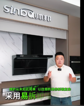 帅邦 油烟机 T30,  开孔40*48.5*30