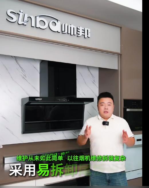 帅邦 油烟机 T30,  开孔40*48.5*30 商品图0