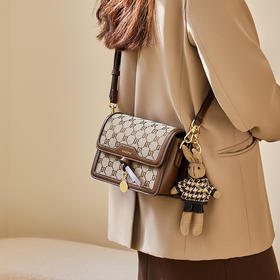 丁摩 【高品质】包包新款女士斜挎包女高级感妈妈包流行单肩包女包5ZF-1020