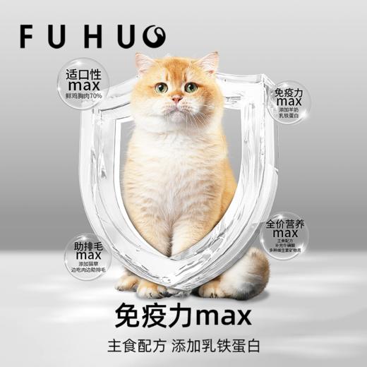 【俘获好礼】俘获W10布丁魔球猫咪主食湿粮罐头营养补水湿粮成小幼猫奶糕湿粮 商品图2