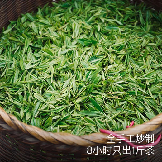 艾格吃饱了明前狮峰西湖龙井2026头采新茶正宗狮峰茶叶 商品图1