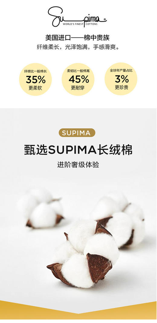 正品出口意大利匹马棉液氨透气简约男士百搭T恤 商品图11