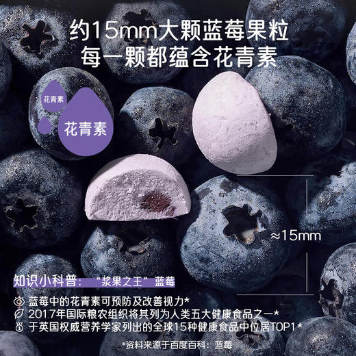 爷爷的农场整颗蓝莓零蔗糖酸奶脆25g 商品图5