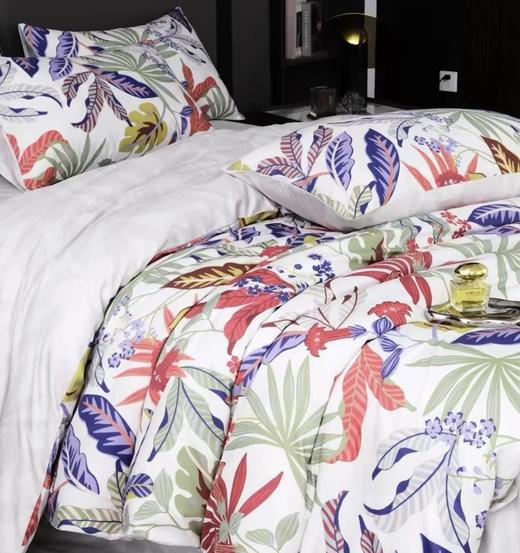 口碑推荐  意大利长绒匹马棉四件套   120支双经超长匹马棉 商品图0