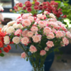 新鲜鲜花 多头折射泡泡玫瑰鲜切花 18-20枝左右 (十堰主城... 商品缩略图1