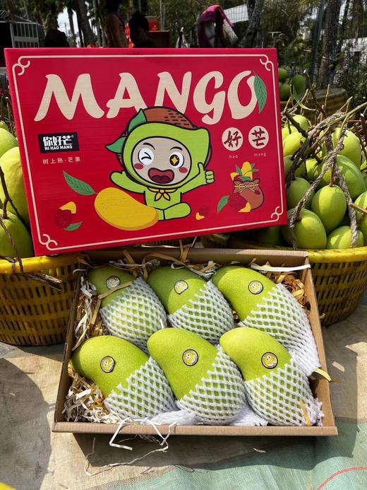 海南_金煌芒（8斤大果礼盒装） 商品图7