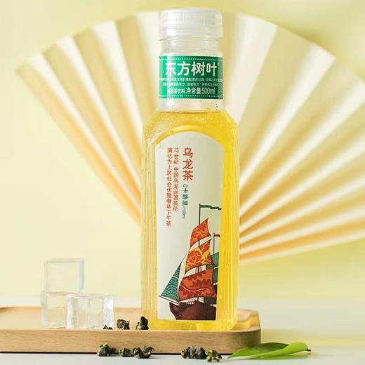 农夫山泉东方树叶乌龙茶饮料 500ml/瓶 商品图3