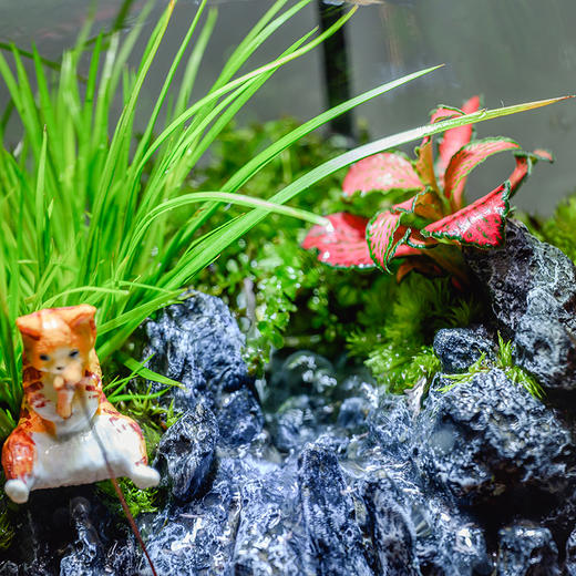 悬浮景观生态瓶，免打理易养活，植物小白也能轻松上手，纯手工造景，赋予极致的高级感，悬浮景观生态瓶 商品图3