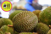 ✈️树熟空运【焦糖味榴莲】马来西亚🇲🇾D101奶油榴莲 鲜果❗4.5斤 商品缩略图5