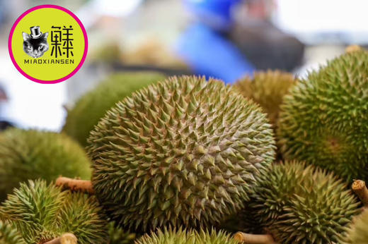 ✈️树熟空运【焦糖味榴莲】马来西亚🇲🇾D101奶油榴莲 鲜果❗4.5斤 商品图5