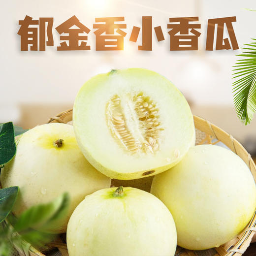 【分仓直发包邮】郁金香小香瓜3斤中小果（1斤约2-3个）（单果约150-300g） 商品图0