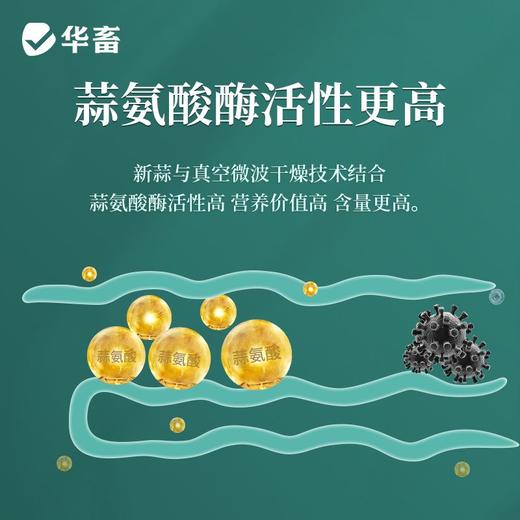 华畜浓缩大蒜素水产养殖鱼虾杀菌增食促长诱食开胃饲料添加剂正品 商品图4