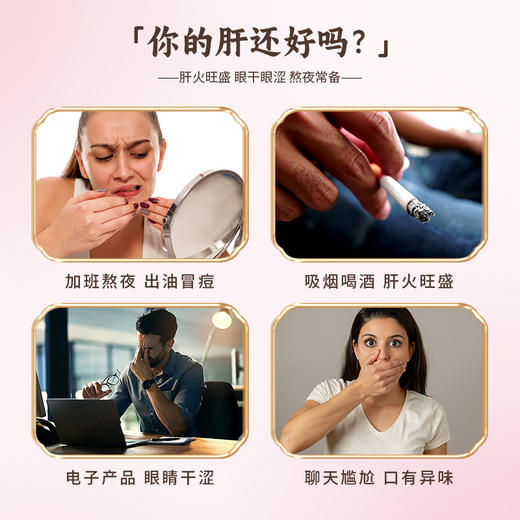 热售【人参菊花决明子茶】长白山菊花决明子茶方正品肝茶 商品图1