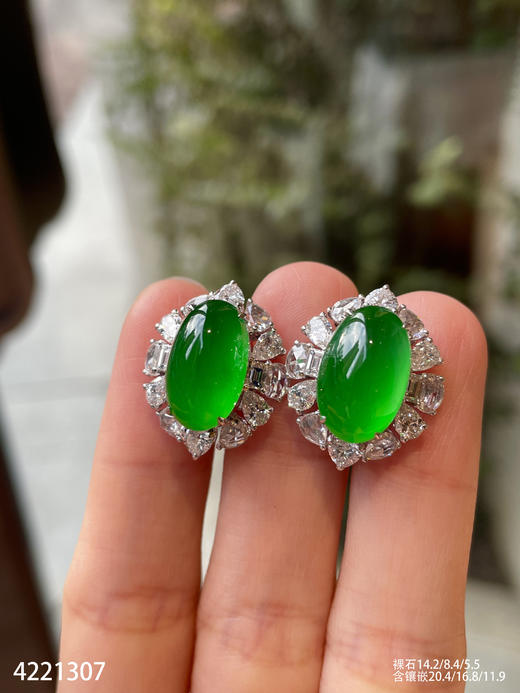 老坑玻璃种艳绿蛋面耳钉【4221307】具体价格微信咨询 商品图3