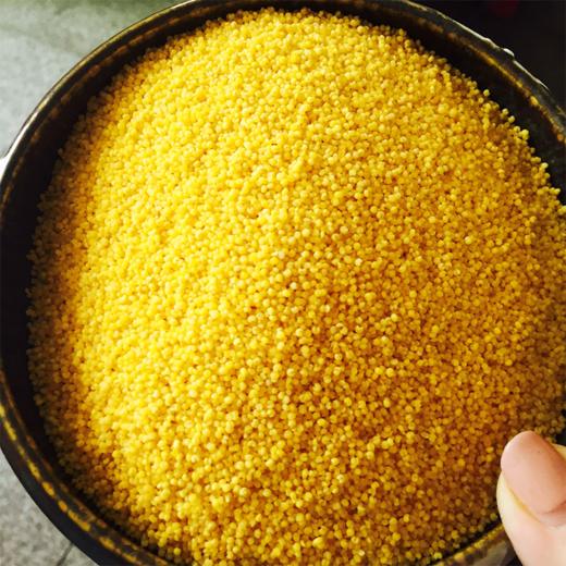 云南黄小米 高原种植日照时间长  米香清新 自然干净 金黄油亮 从源头到餐桌 多种吃法  香糯粘稠 商品图3