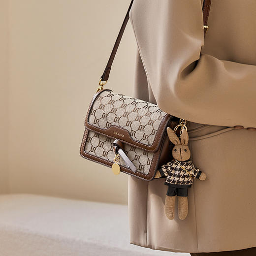 丁摩 【高品质】包包新款女士斜挎包女高级感妈妈包流行单肩包女包5ZF-1020 商品图1