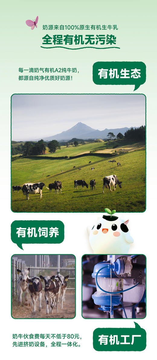 奶气有机A2β-酪蛋白儿童纯牛奶3提（赠同款4盒） 商品图4