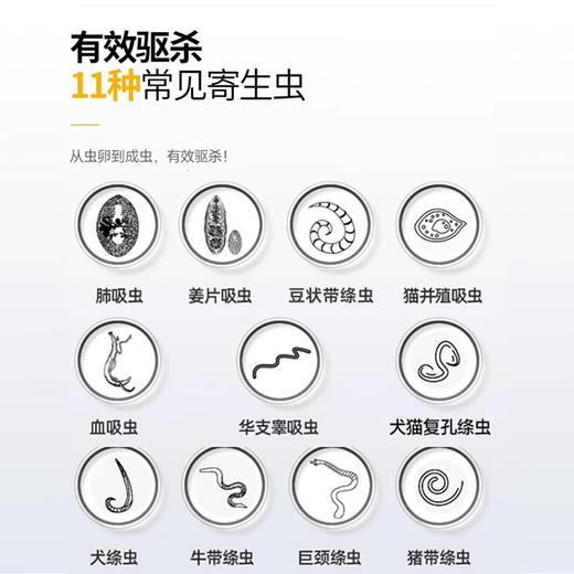 【积分兑换】雷米高体内驱虫打虫药宠物体内吡喹酮片(驱虫一粒清）6片 商品图3