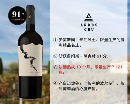 【现货特促，整箱更优惠】智利精品名庄：安第斯园伊卡瓦赤霞珠干红（2021年） 商品图0