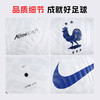 小李子NIKE耐克法国队足球5号球机缝比赛训练专用球IB9380-100 商品缩略图4