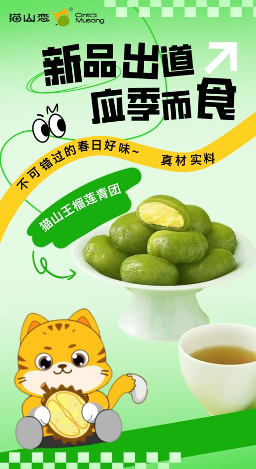 【猫山恋】榴莲青团 3枚/盒*5盒 商品图4