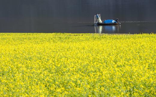 东北鸭绿江畔•中朝边境：丹东绿江村、鸭绿江断桥、乾坤大湾、大连海滨风光6日深度摄影团 商品图8