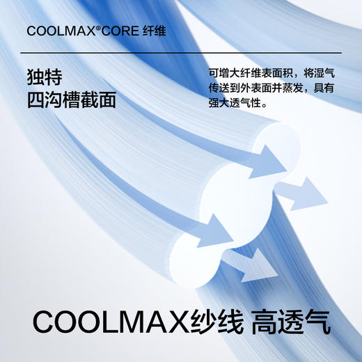 【新品上新】【吸湿排汗】有棵树网眼透气抗菌防臭女士短袜5双装-WS3015 商品图1