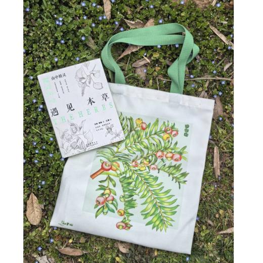 遇见本草 商品图1