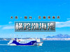 五一4日【横跨渤海湾】｜渤海轮渡<大连-烟台-威海>渤海-黄海的穿越之旅 商品缩略图0