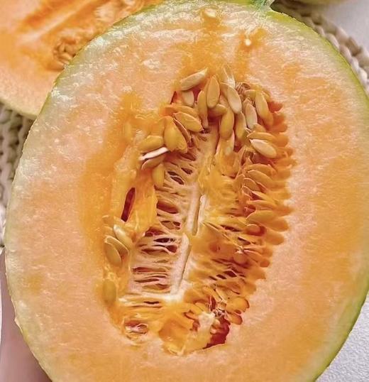 丞起网纹瓜 商品图0