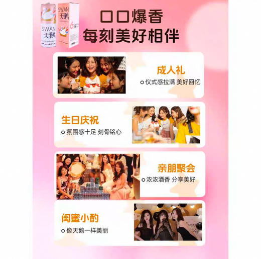 六只天鹅原浆精酿2L 商品图2