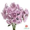 外购多头玫瑰-幻紫 商品缩略图0