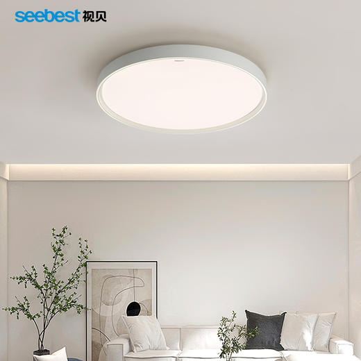 星瑞系列-客厅灯 商品图2