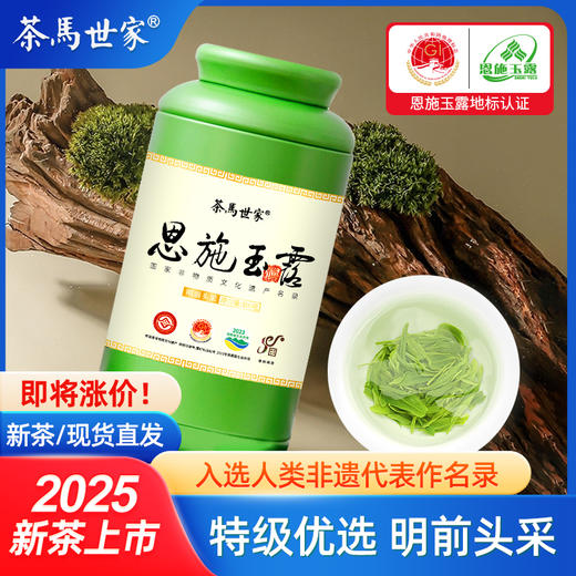 茶马世家2025新茶恩施玉露明前特级非遗蒸青绿茶富硒头采春茶100克 商品图0