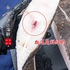 【闹妈海鲜】深海鲽鱼段新鲜冷冻鲽鱼块 各种规格 商品缩略图4