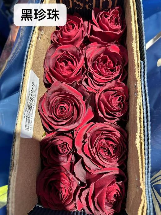 同城甄选厄瓜多尔进口玫瑰合集链接 商品图9