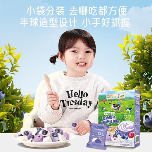 爷爷的农场整颗蓝莓零蔗糖酸奶脆25g 商品图3