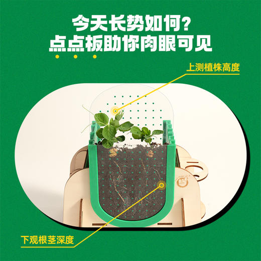 📣科答鸭种植观察作业必备❗种植福利团🏆😘超好养活的【小盆栽＋配大花盆🌱】从小种到大 💰43元起就能得到的快乐🎉有种子有土有盆🌟带孩子开启植物自然课💨在家就能感受生命教育🥇 商品图7