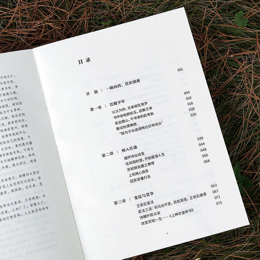 《苏东坡传：人生就是哈哈哈哈哈》 商品图6