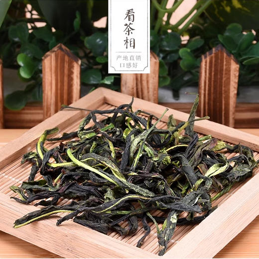 潮州源产   正宗高山凤凰单丛茶  品质好茶  清香鲜爽  回味甘甜 商品图5
